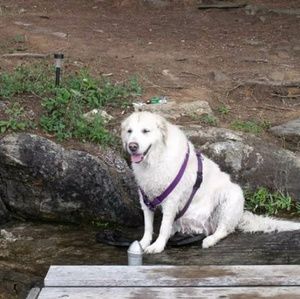 Meet your Posher, Kim